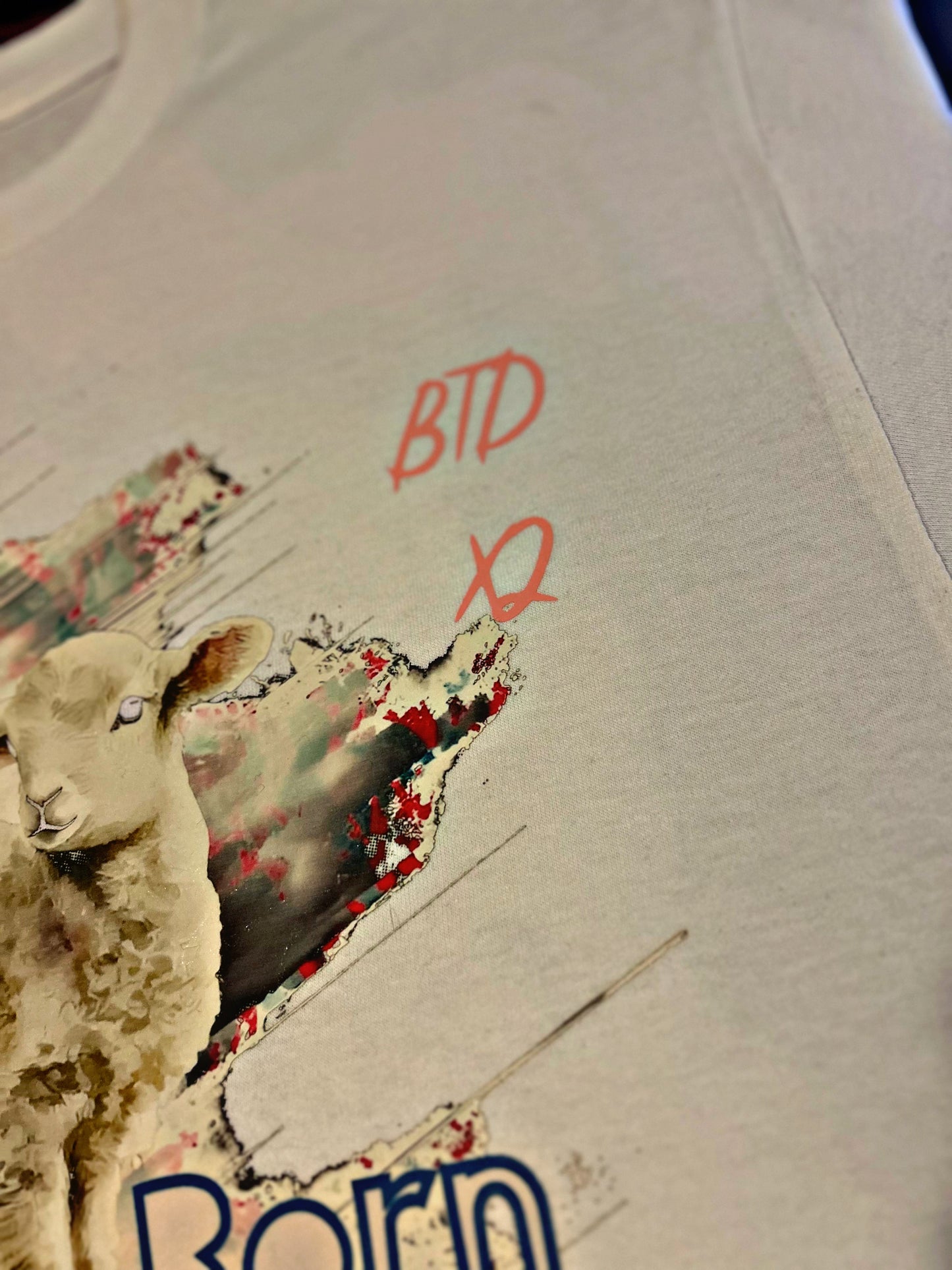 Official “Fashion & Flesh” BTDx2 Hoodie And Tee Shirt