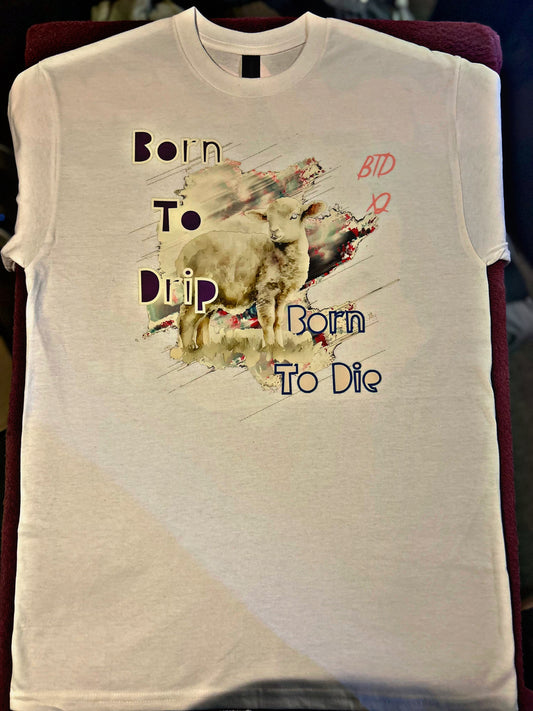 Official “Fashion & Flesh” BTDx2 Hoodie And Tee Shirt